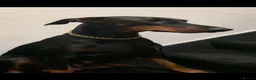 Dobermann dogs for sale: Royal KC Doberman puppies  - Advert 5