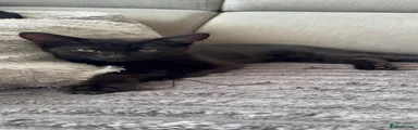 N/A