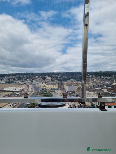 Gallery Image {{count}}