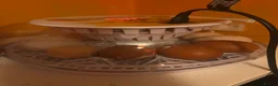 Chickens poultry for sale: 12x mixed chicken hatching eggs - Advert 3