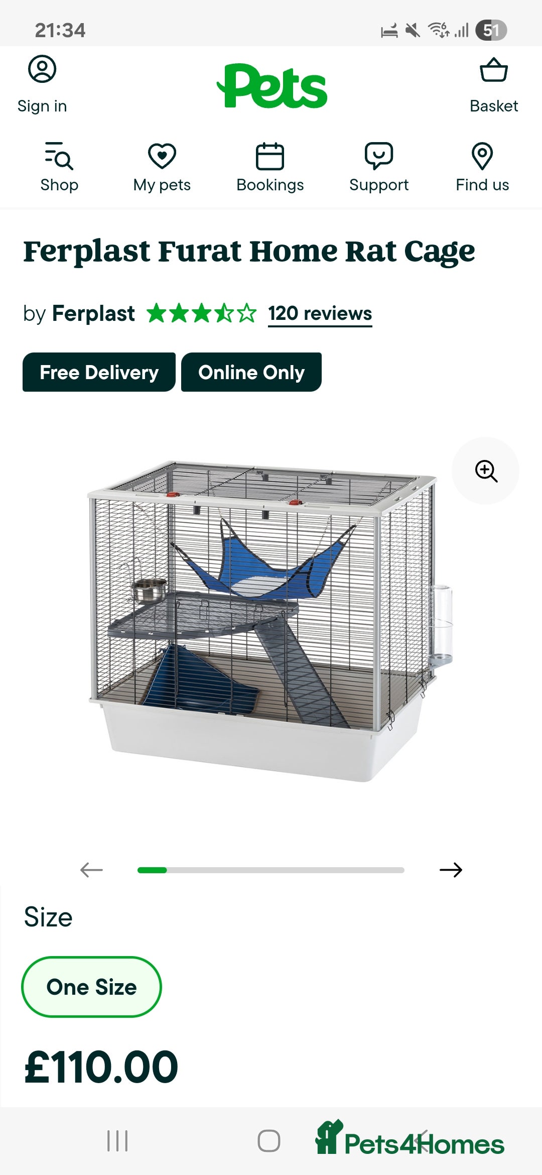 Rat rodents for sale: 2 males - Image 5