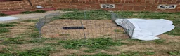 Guinea Pig rodents for sale: 2 x Female guinea pigs with cages, food etc  - Advert 3
