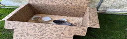 Chickens poultry for sale: 🐣 6 CUTE BABY CHICKS & THEIR HAND REARED MOTHER  in Knutsford - Advert 11