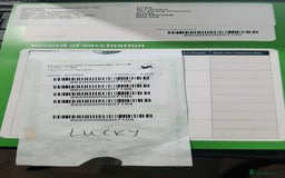 Persian cats for sale: Pure Persian Kitten  - Advert 8