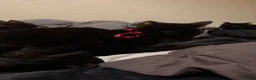 Mixed Breed cats for sale: Rescue Kittens and Cats Urgent - Advert 10