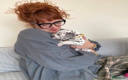 Dalmatian dogs for sale: Top quality show type Dalmatian pups 🐶  - Image 16