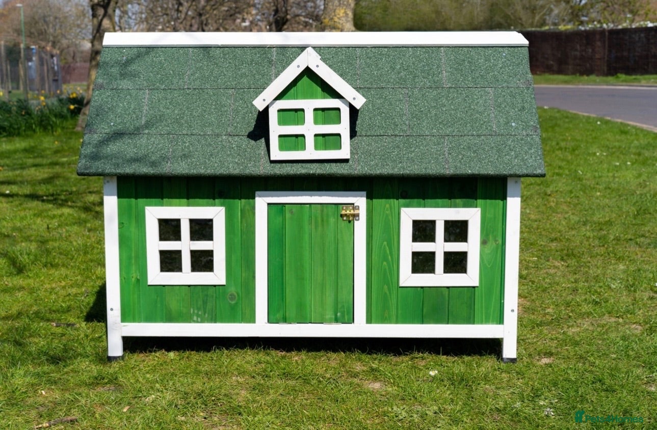 Chickens poultry Chicken coops with hens and rooster - Advert 1