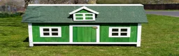 Chickens poultry for sale: Chicken coops with hens and rooster - Advert 1