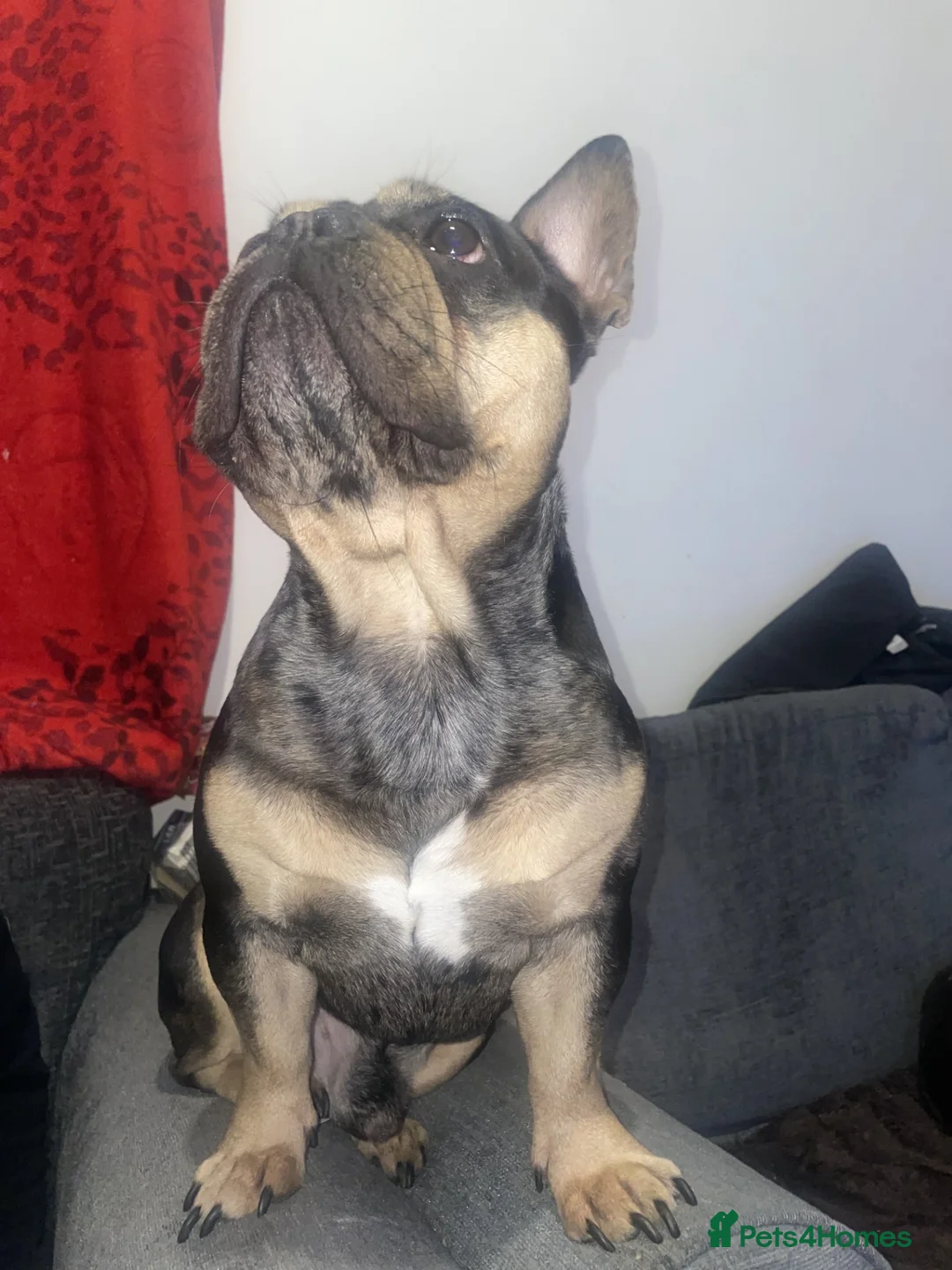 Gallery Image {{count}}