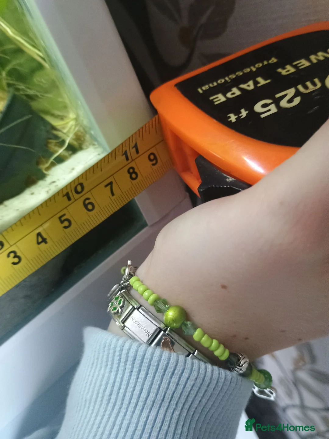 Other/Mixed Breed fish for sale: Full fishtank set up in Doncaster - Advert 12
