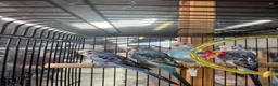Budgerigars birds for sale: Beautiful blues and pied budgies for sale!  - Advert 1