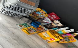 Toy Poodle dogs for sale: 5 month old toy poodle  - Image 10