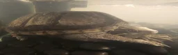 Turtle reptiles for sale: Turtle - Advert 2