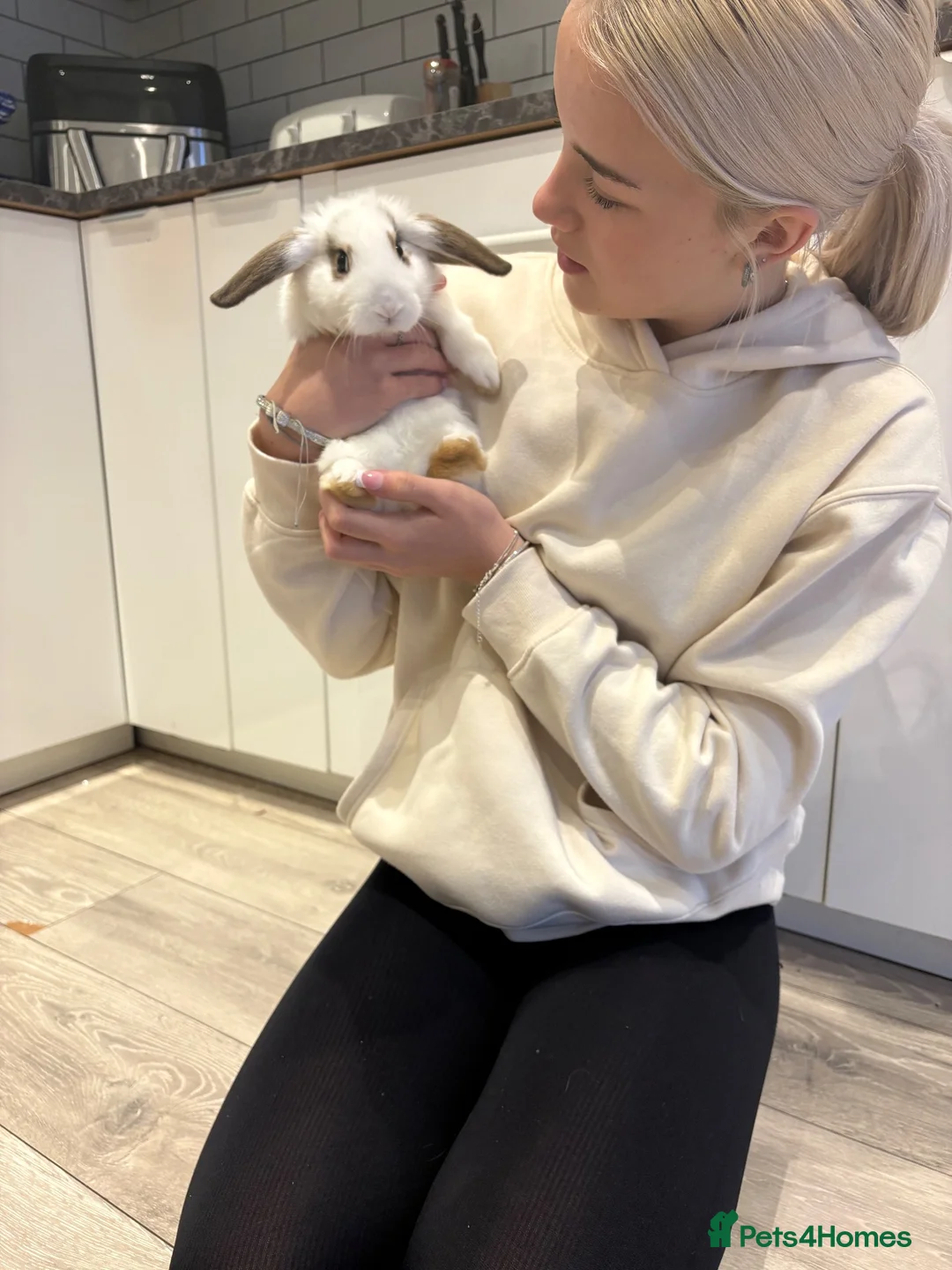 Mini Lion Lop rabbits for sale: 🐰💕 3 Beautiful Baby Girl Rabbits for Sale! 💕 in Barnsley - Advert 9