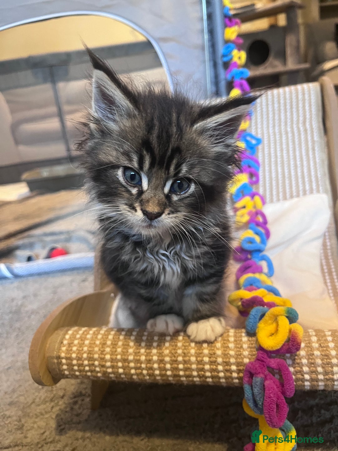 Gallery Image {{count}}