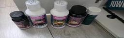 Axolotl reptiles for sale: Two Axalots with Complete set - Advert 9