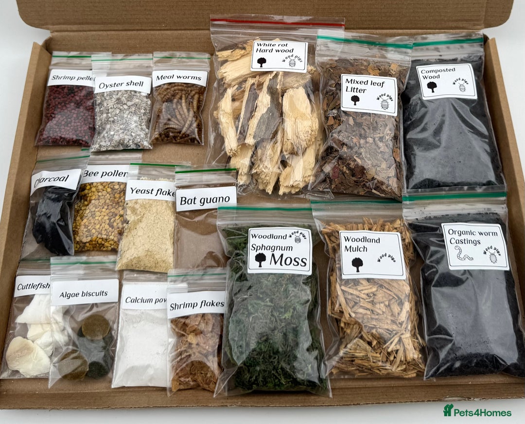 Mixed Breed invertebrates for sale: Isopods and dry goods available!  - Image 2