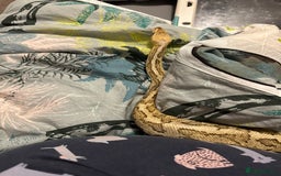 Python Snake reptiles for sale: Beautiful ball python and tank - Image 2
