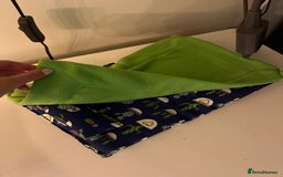 Bearded Dragon reptiles for sale: Sweetest Rankin Dragon needing a new home - Advert 10