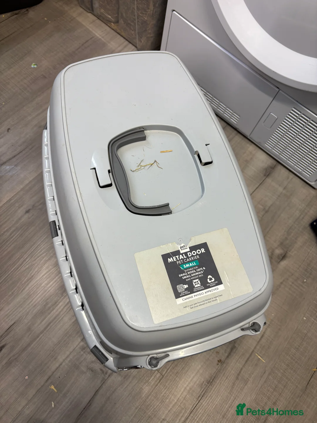 Mixed Breed rabbits for sale: Mini lop cross male rabbit - Advert 8