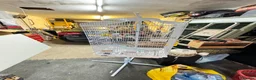 Budgerigars birds for sale: Budgies with cage - Advert 1