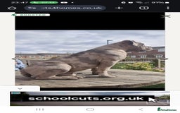 Old Tyme Bulldog dogs for sale: Male Lilac merle old tyme bulldog - Image 15