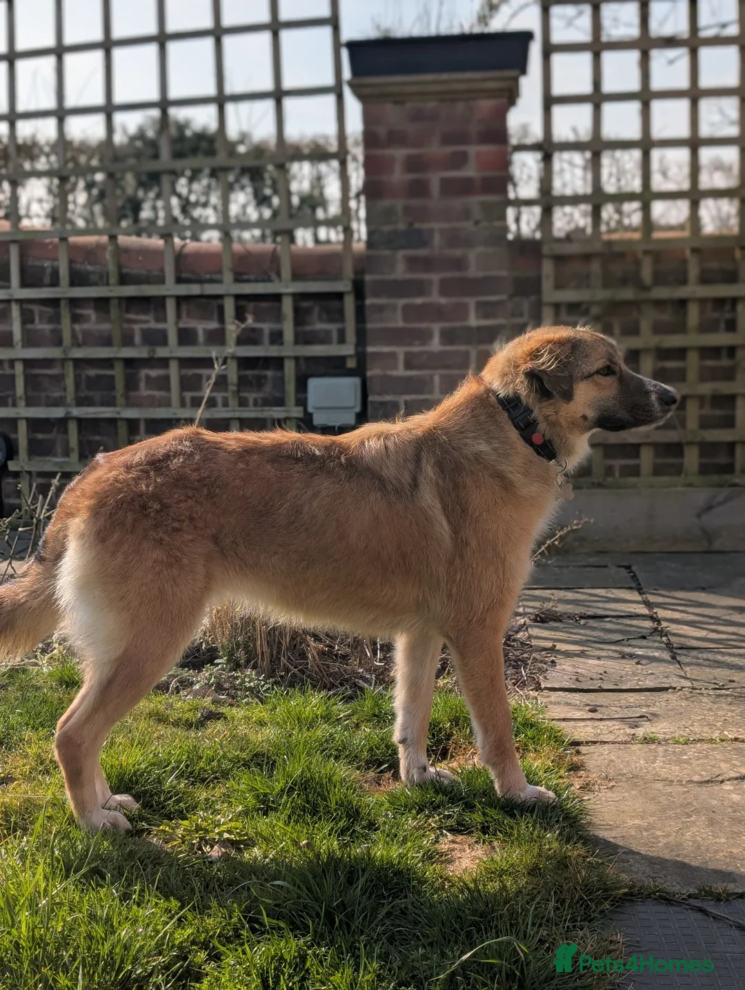 Gallery Image {{count}}