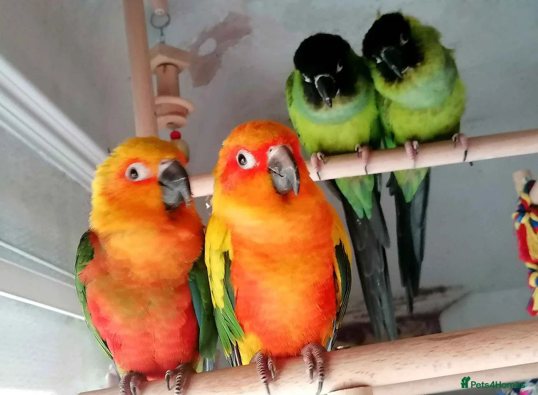 Gallery Image {{count}}