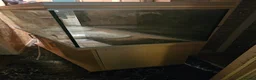 Other/Mixed Breed fish for sale: 5ft Rena 480L fish tank aquarium  - Advert 5