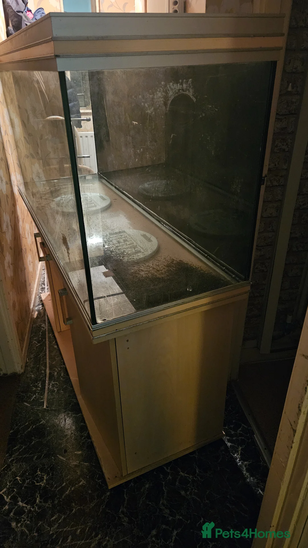 Other/Mixed Breed fish for sale: 5ft Rena 480L fish tank aquarium  - Advert 5