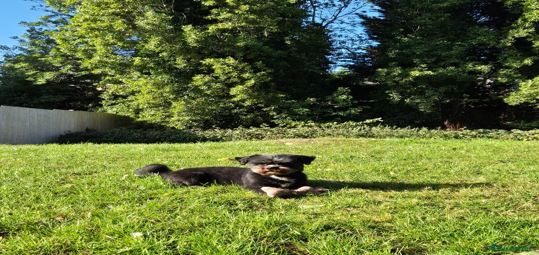 Gallery Image {{count}}