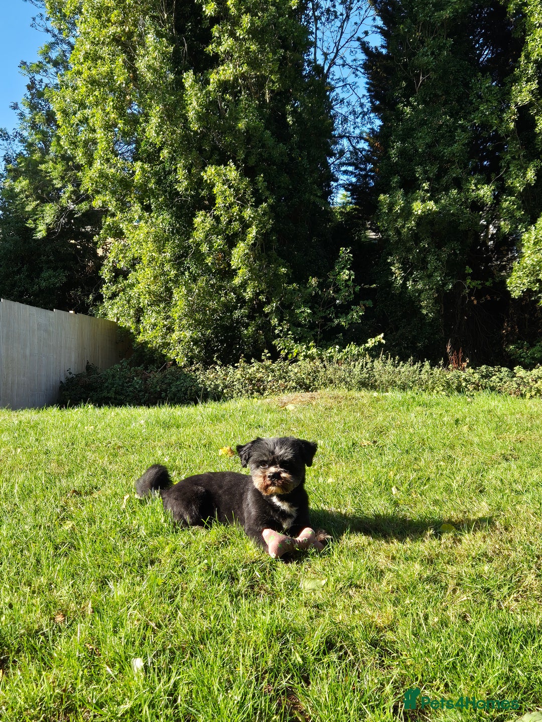 Gallery Image {{count}}