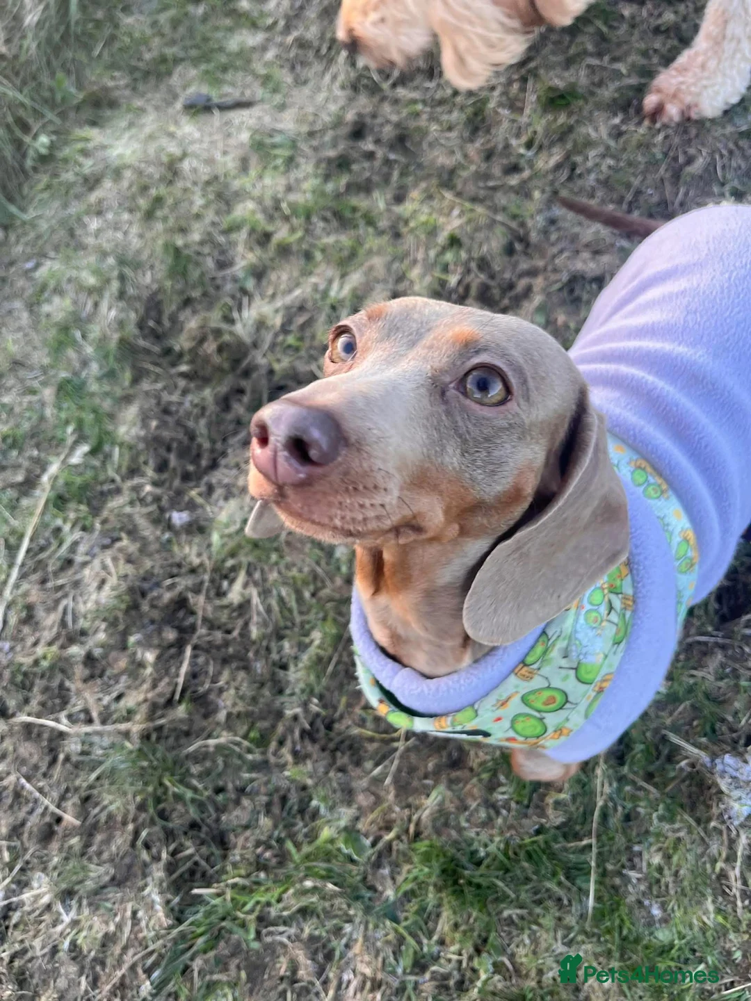 Gallery Image {{count}}