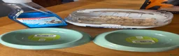 Hamster rodents for sale: Hamster and full set up for sale  in Warrington - Advert 1