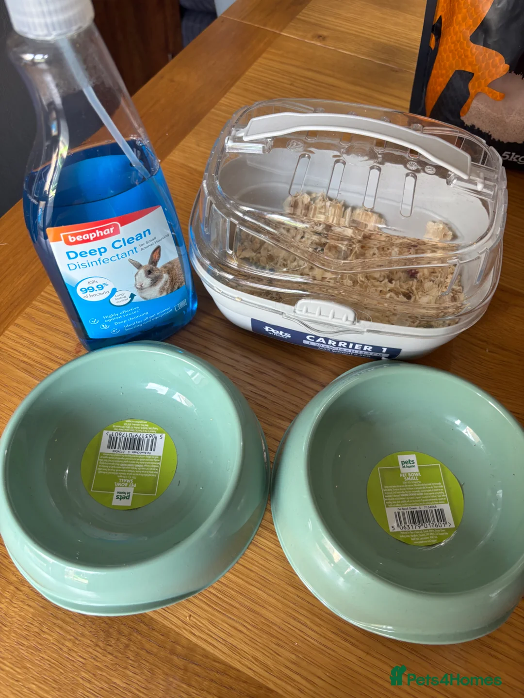 Hamster rodents for sale: Hamster and full set up for sale  in Warrington - Advert 1