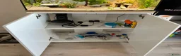 Other/Mixed Breed fish for sale: Fish need to be rehomed  - Advert 6