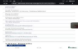 Siberian cats for sale: Siberian Kittens Super Friendly 💕🐾 - Image 12