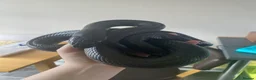 King Snake reptiles for sale: Mexican black king snake CB17 in Swadlincote - Advert 4