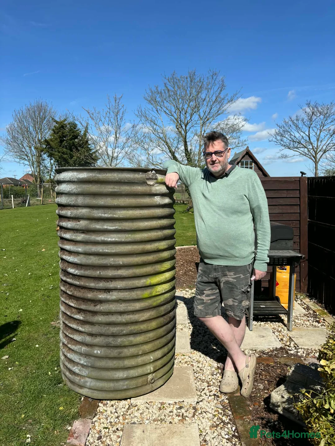 Ducks poultry for sale: Pairs of Indian runner ducks chicks lincolnshire  - Advert 2