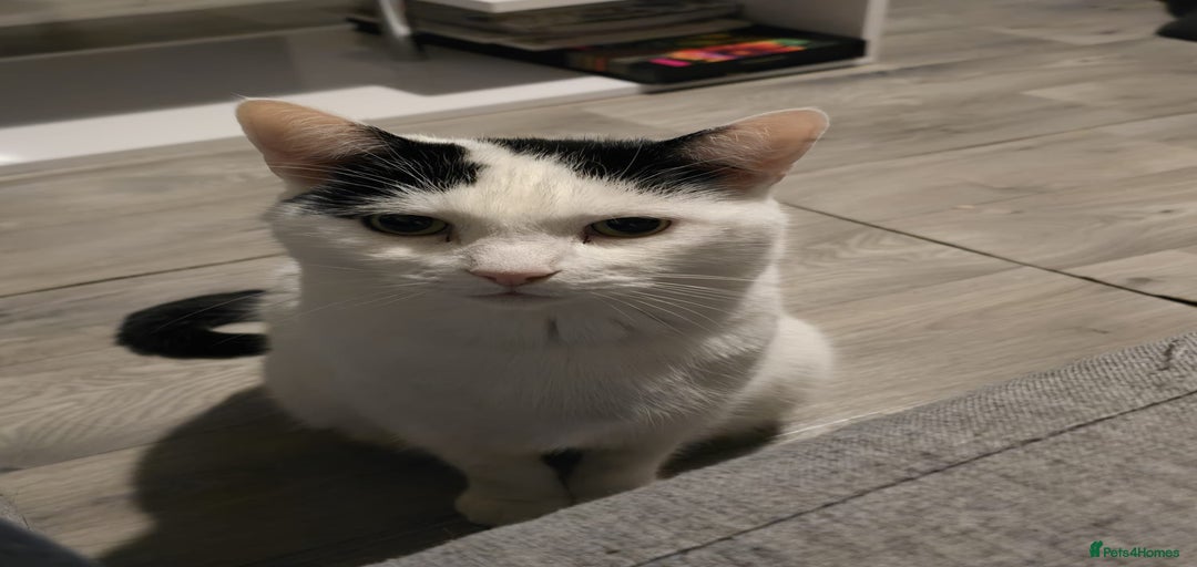 Gallery Image {{count}}