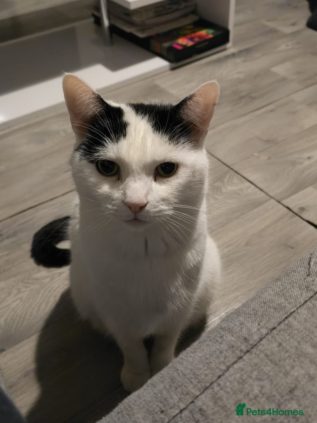 Gallery Image {{count}}