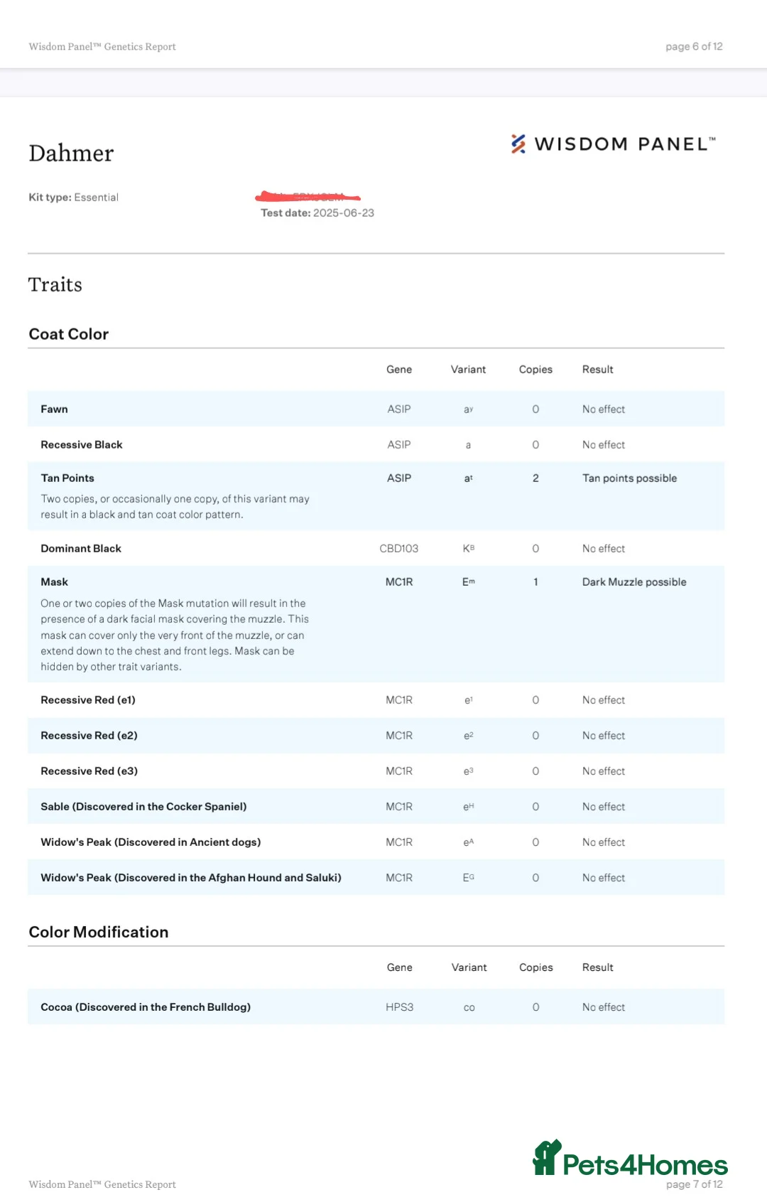 English Bulldog dogs for stud: Dahmer for stud - Advert 19
