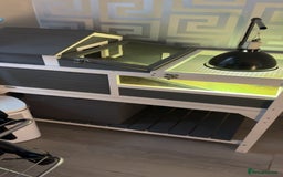 Tortoise reptiles for sale: Horsefield tortoise  - Advert 4