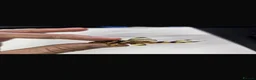 Plecos fish for sale: L333 Goldlines AAA grade Pleco.  - Advert 4