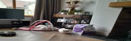 Maltese dogs for sale: 5 Outstanding pedigree Maltese puppies - Advert 2
