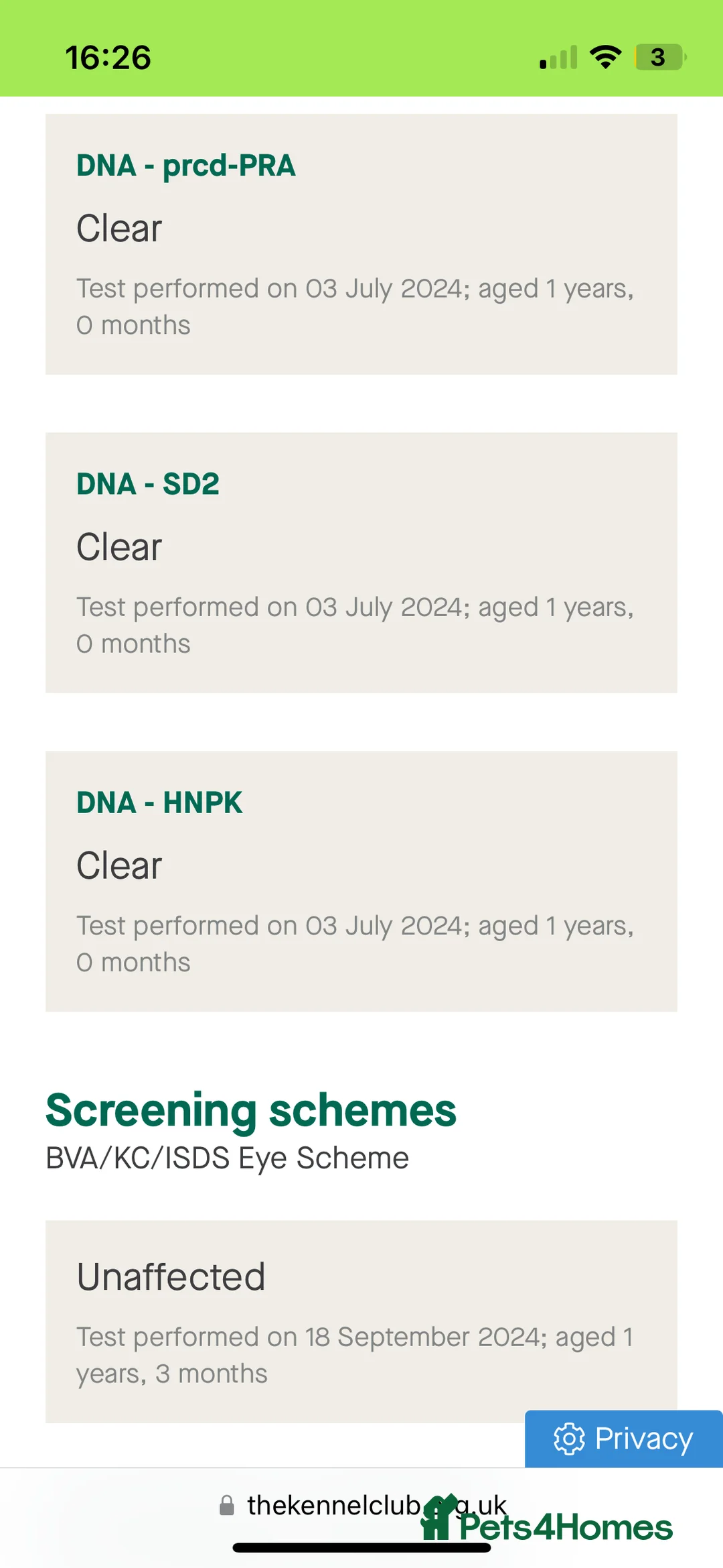 Labrador Retriever dogs for stud: KC & FULLY HEALTH TESTED DOG  in Holmfirth - Advert 3