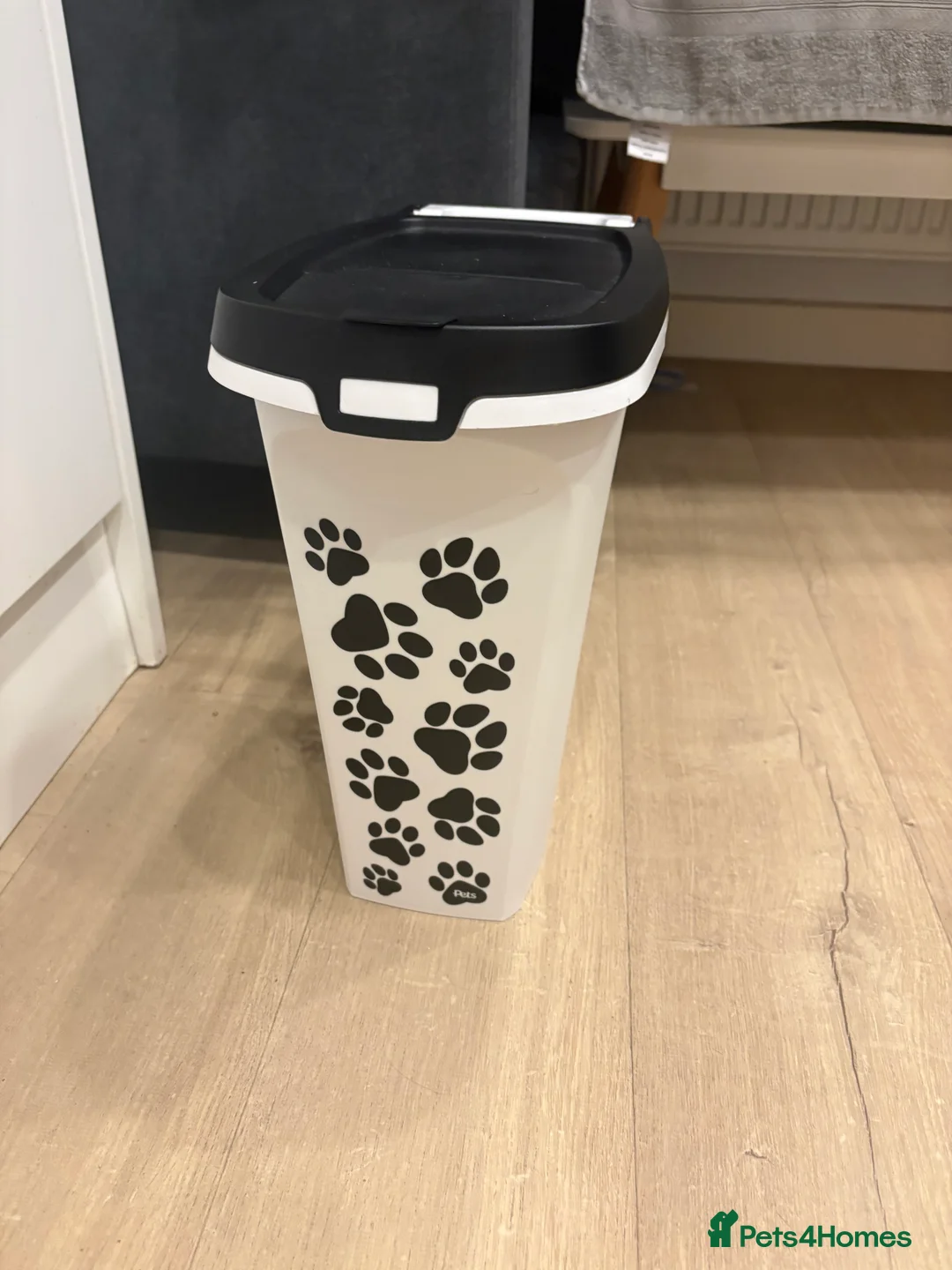 Miniature Dachshund dogs for sale: Long haired mini dachshund looking for forever hom - Advert 3