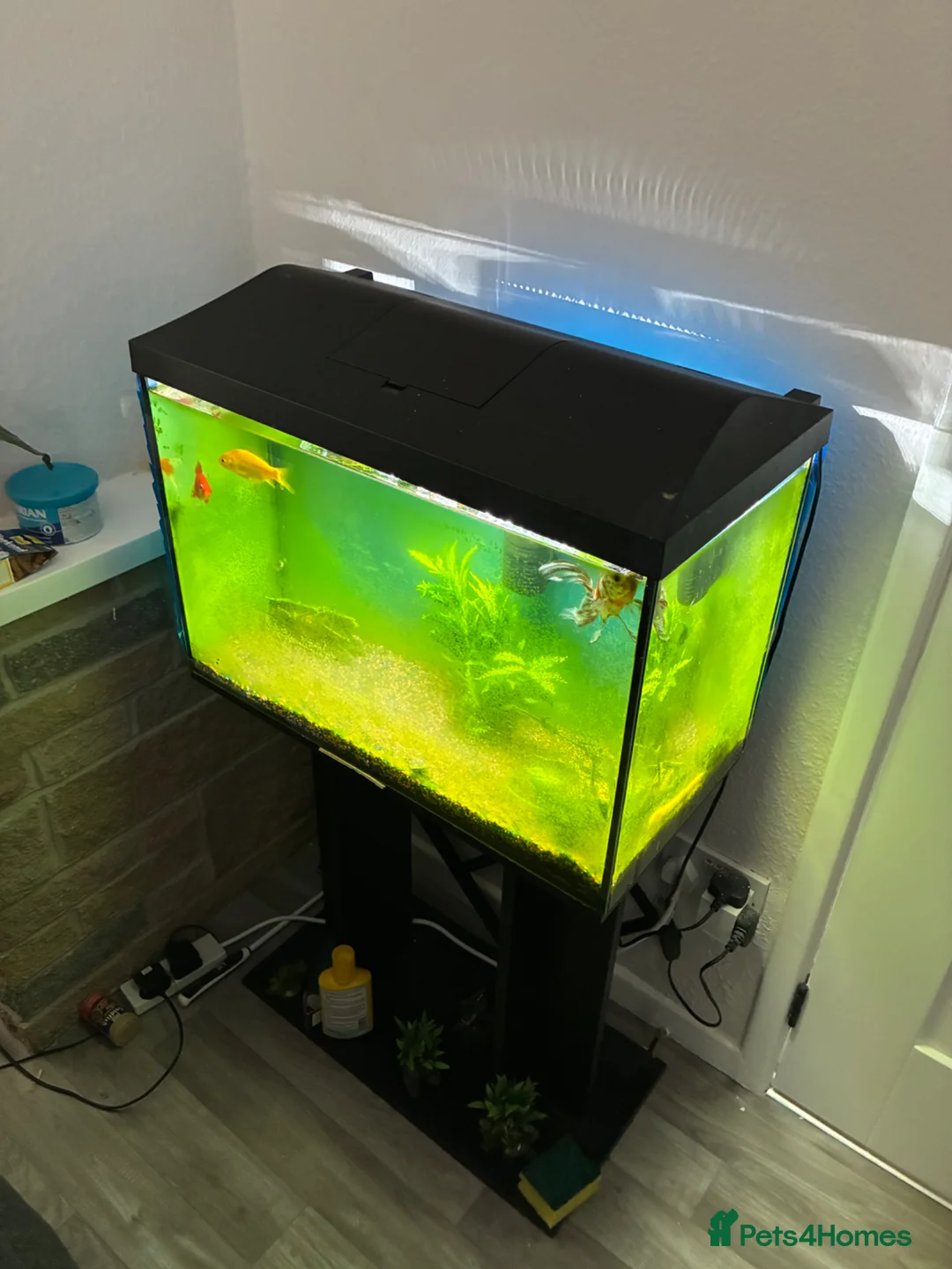 Other/Mixed Breed fish for sale: Tank , light, filter and stand  - Advert 1