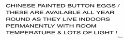 Quail poultry for sale: CHINESE PAINTED BUTTON QUAIL EGGS ! - Advert 36