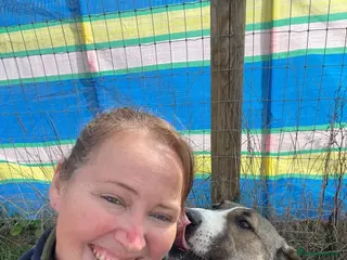 Mixed Breed dogs Beautiful Big Girl Blanca - Advert 3